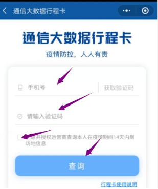 最后輸入自己的手機號碼，點(diǎn)擊查詢(xún)。