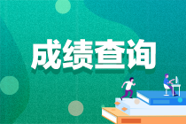 房地產(chǎn)估價(jià)師考試成績(jì)查詢(xún)