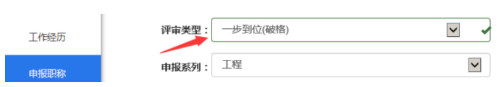 職稱(chēng)評定